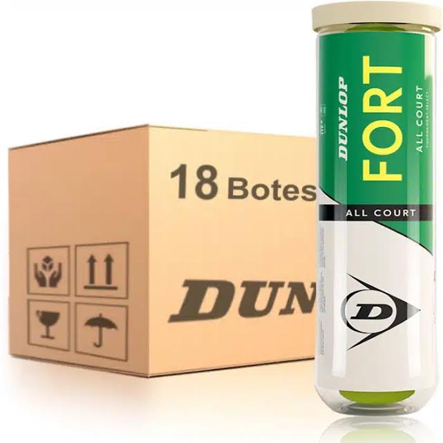 Dunlop Fort All Court x 4