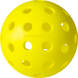 Bote Pelotas HEAD Championship 40 Pickleball x12