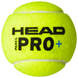 Caja Pelotas Head Padel Pro+ x72 Pádel